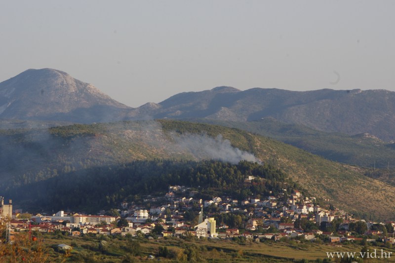 buce (41)